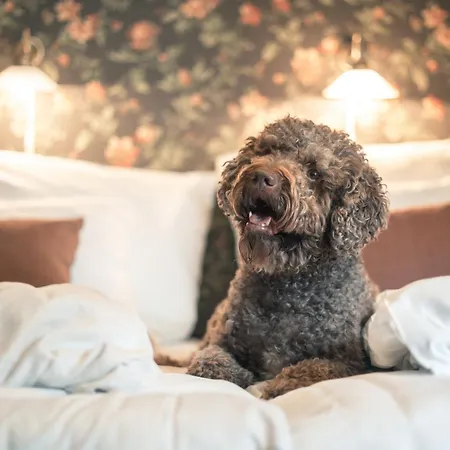 Kronen Gaard 4* Sandnes (Rogaland)