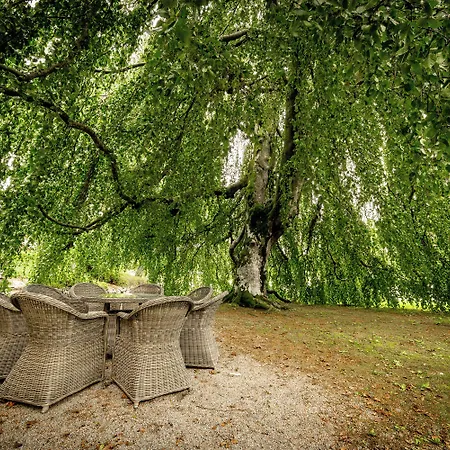 Kronen Gaard 4* ساندنيس