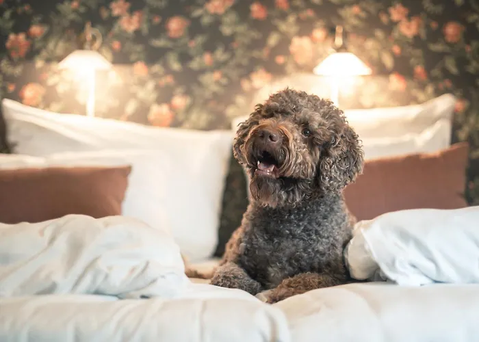 Kronen Gaard 4* Sandnes (Rogaland)